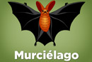 Screenshot - Toddler iphone puzzle - Murciélago